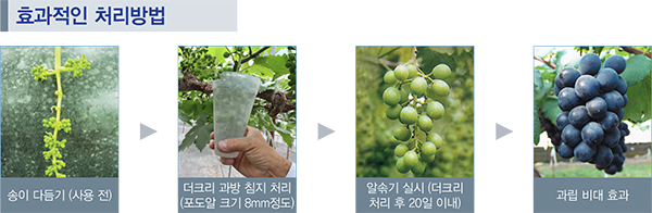 더크리 액상슈화제 처리방법